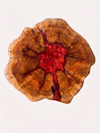 Wood Red Resin Coffee Table